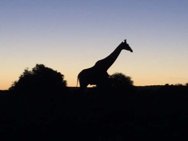 ../photos/SAMOZ19/Emma/IPH_4743.jpg?t=1775417854