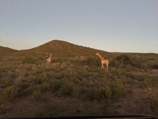 ../photos/SAMOZ19/Emma/IPH_4746.jpg?t=1775417854