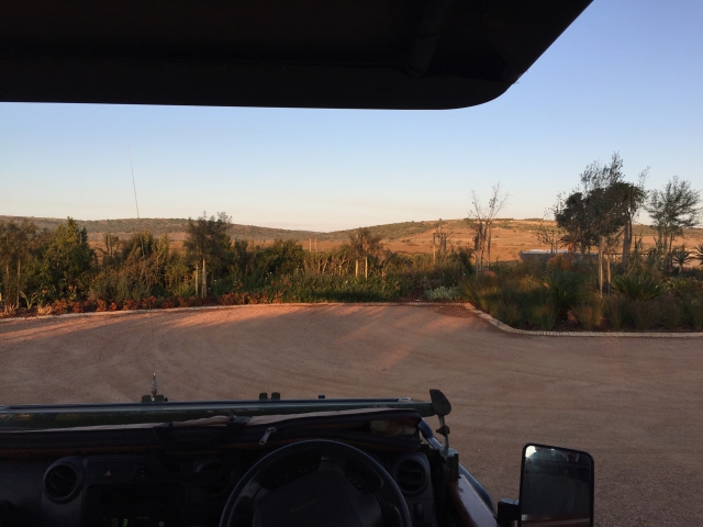 ../photos/SAMOZ19/Emma/IPH_4775.jpg?t=1775440094