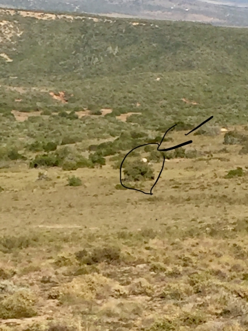 ../photos/SAMOZ19/Emma/IPH_4779.jpg?t=1775440094