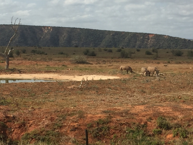 ../photos/SAMOZ19/Emma/IPH_4844.jpg?t=1775440094