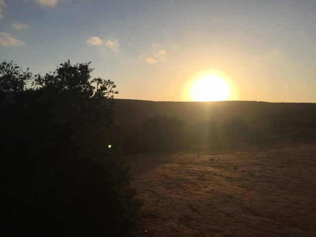 ../photos/SAMOZ19/Emma/IPH_4859.jpg?t=1775440094