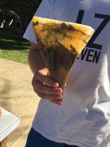 ../photos/SAMOZ19/Emma/IPH_5232.jpg?t=1775440511