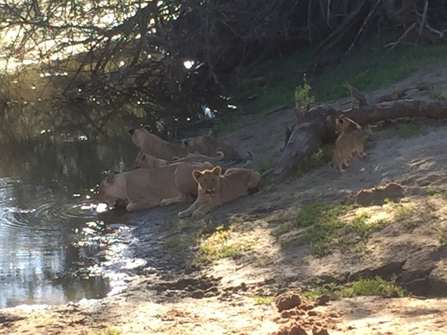 ../photos/SAMOZ19/Graham/IMG_5483.jpg?t=1775417854