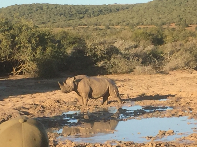 ../photos/SAMOZ19/Graham/IMG_5490.jpg?t=1775417854