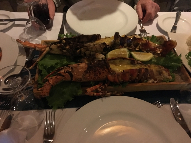 ../photos/SAMOZ19/Jane/IMG_0784.jpg?t=1775440511