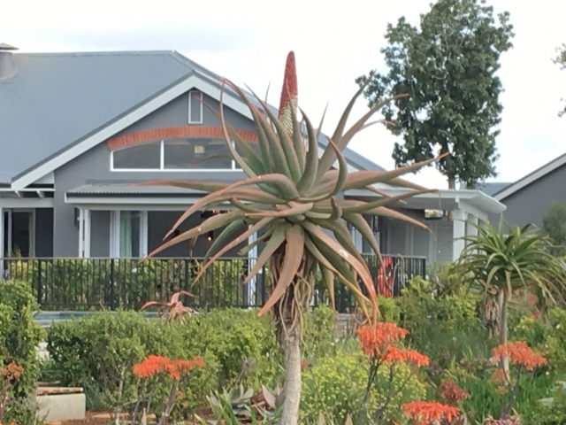 ../photos/SAMOZ19/Jane/IMG_0961.jpg?t=1775440094