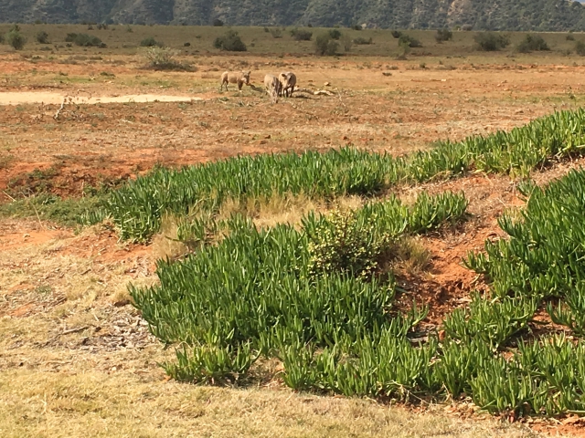 ../photos/SAMOZ19/Jane/IMG_1900.jpg?t=1775440094