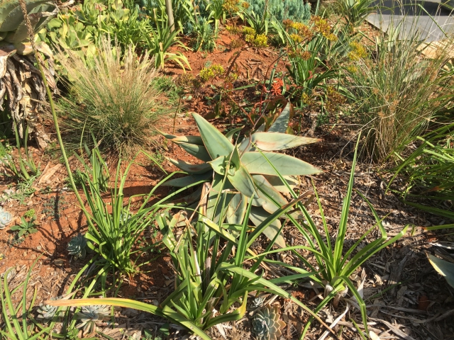 ../photos/SAMOZ19/Jane/IMG_2191.jpg?t=1775440094