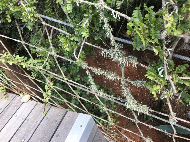 ../photos/SAMOZ19/Jane/IMG_4095.jpg?t=1775440094