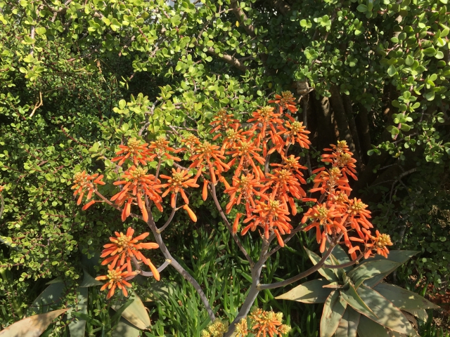 ../photos/SAMOZ19/Jane/IMG_6947.jpg?t=1775440094