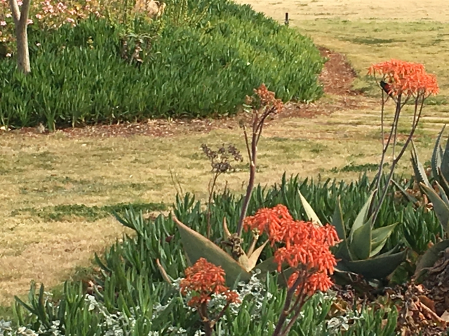 ../photos/SAMOZ19/Jane/IMG_7642.jpg?t=1775440094