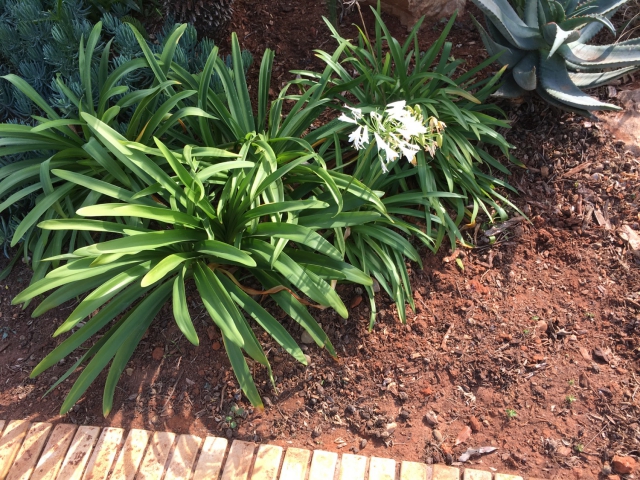 ../photos/SAMOZ19/Jane/IMG_8355.jpg?t=1775440094