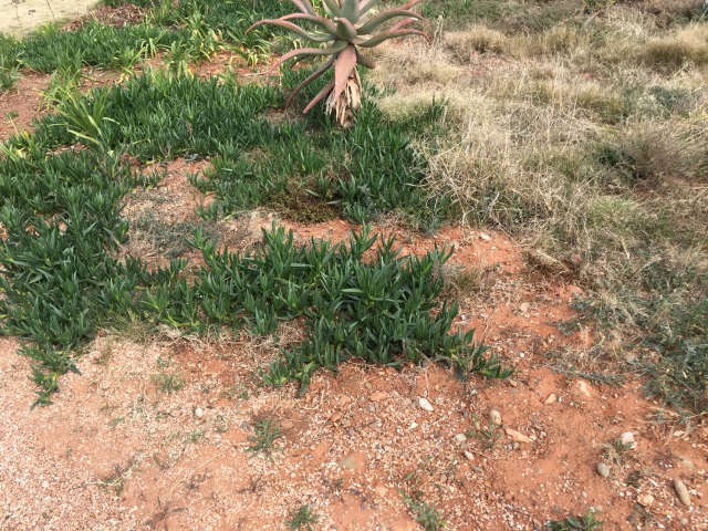 ../photos/SAMOZ19/Jane/IMG_9213.jpg?t=1775440094