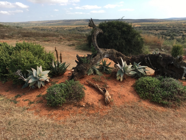 ../photos/SAMOZ19/Jane/IMG_9737.jpg?t=1775440094