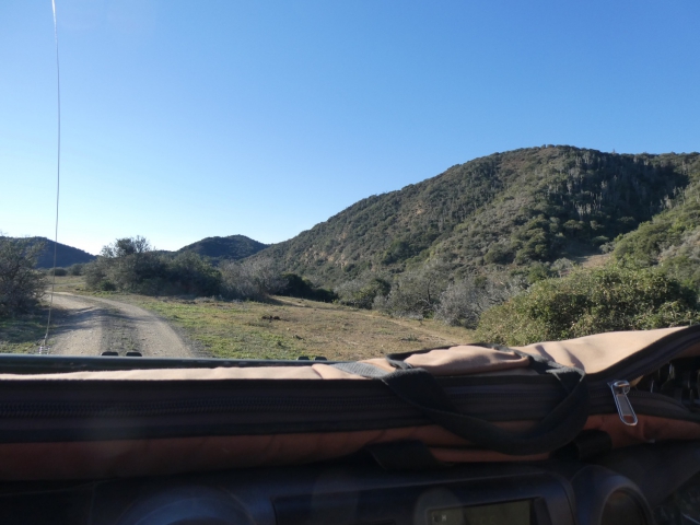 ../photos/SAMOZ19/Jane/P1010233.jpg?t=1775417854