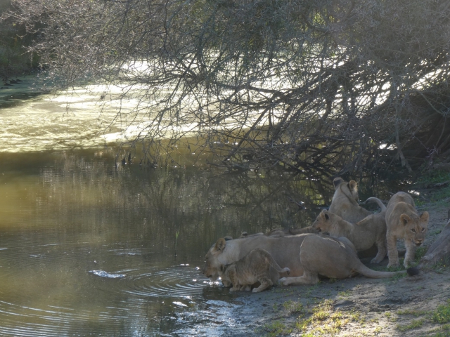 ../photos/SAMOZ19/Jane/P1010234.jpg?t=1775417854