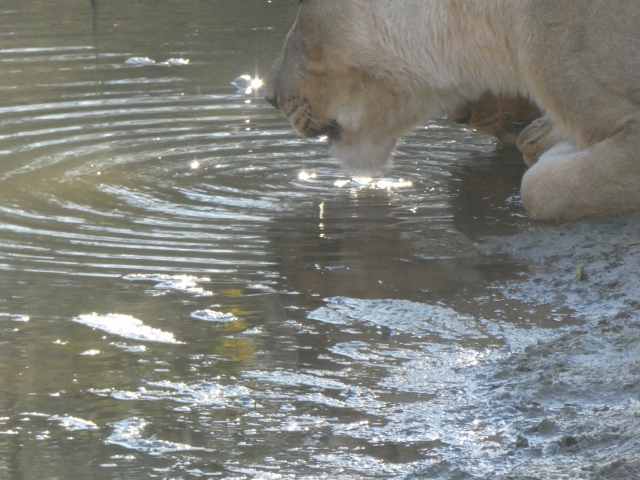 ../photos/SAMOZ19/Jane/P1010236.jpg?t=1775417854