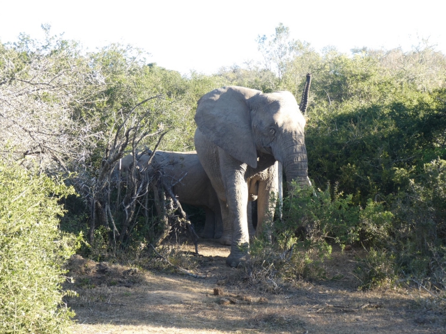 ../photos/SAMOZ19/Jane/P1010242.jpg?t=1775417854