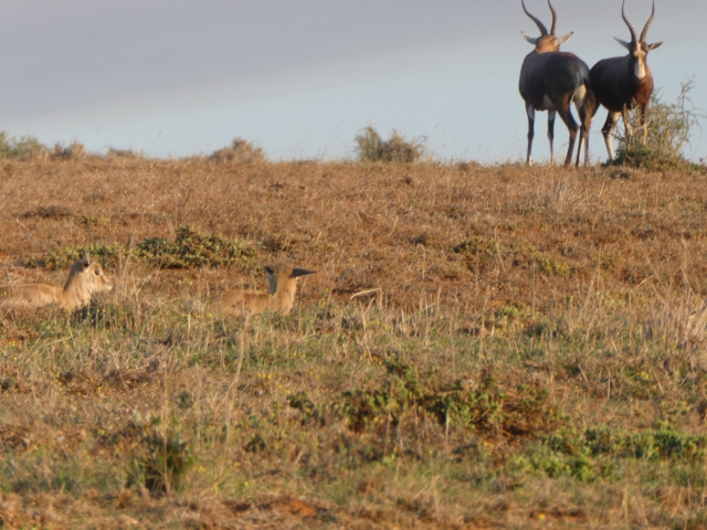 ../photos/SAMOZ19/Jane/P1010285.jpg?t=1775417854