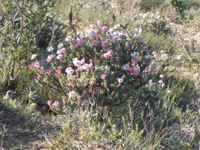 ../photos/SAMOZ19/Jane/P1010294.jpg?t=1775440094