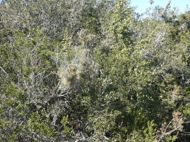 ../photos/SAMOZ19/Jane/P1010308.jpg?t=1775440094