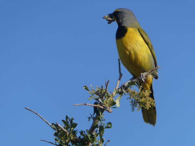 ../photos/SAMOZ19/Jane/P1010330.jpg?t=1775440094