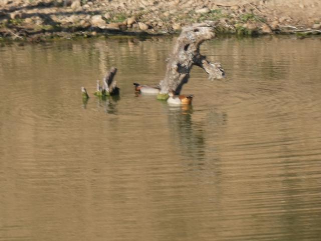 ../photos/SAMOZ19/Jane/P1010341.jpg?t=1775440094