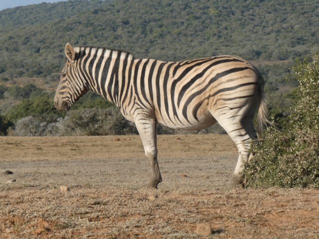 ../photos/SAMOZ19/Jane/P1010345.jpg?t=1775440094