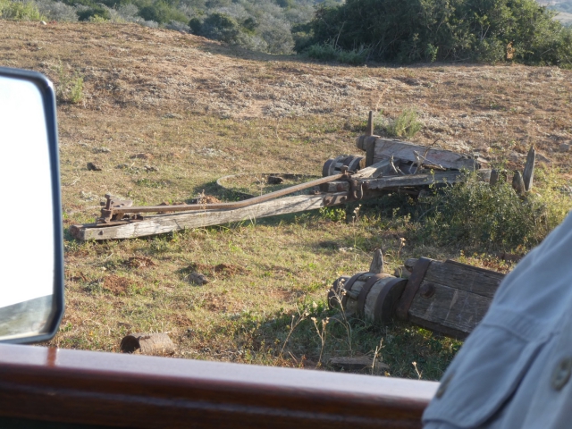 ../photos/SAMOZ19/Jane/P1010346.jpg?t=1775440094