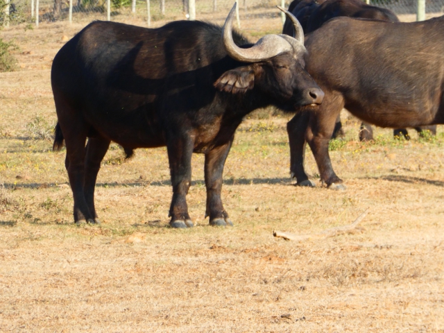 ../photos/SAMOZ19/Jane/P1010357.jpg?t=1775440094