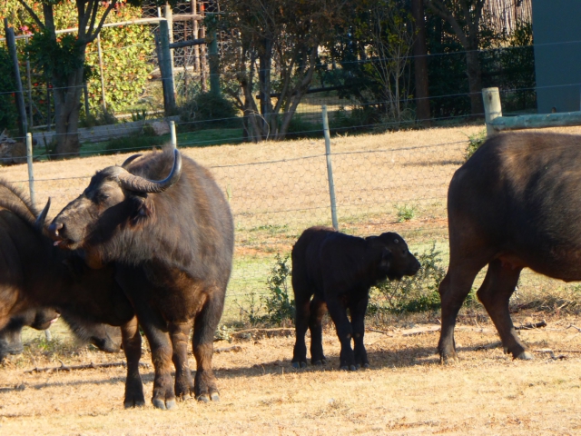 ../photos/SAMOZ19/Jane/P1010364.jpg?t=1775440094