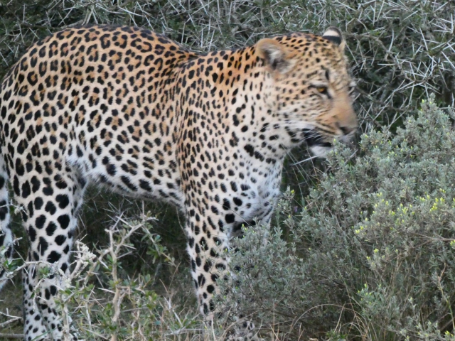 ../photos/SAMOZ19/Jane/P1010381.jpg?t=1775440094