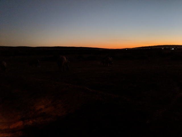 ../photos/SAMOZ19/Robin/IMG_20190815_182018.jpg?t=1775417854