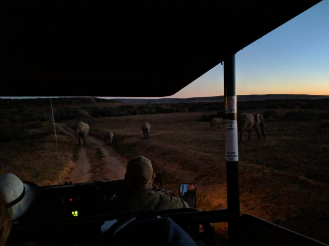 ../photos/SAMOZ19/Robin/IMG_20190815_182031.jpg?t=1775417854