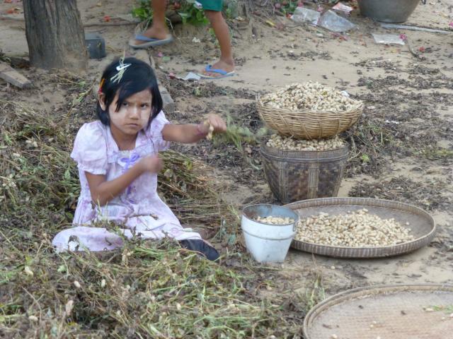 burma/Bill/P1010791.jpg