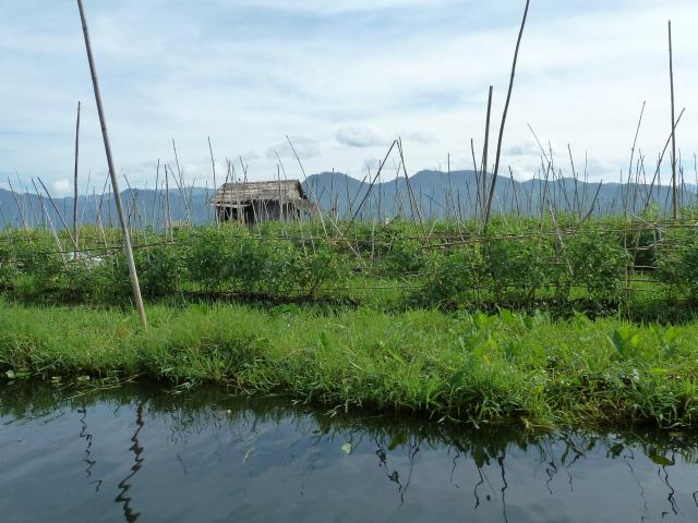 burma/Jane/P1070258.jpg