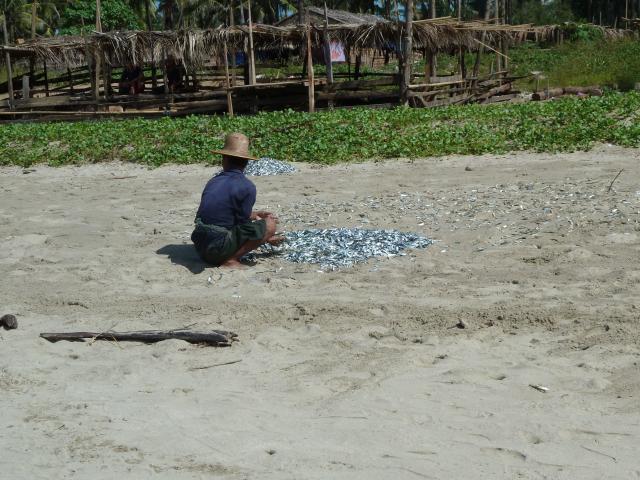burma/Jane/P1080217.jpg
