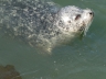 ../photos/canada19/Jane/P1000194_1.jpg?t=1775440234