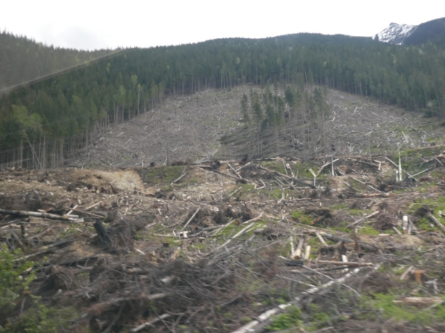 ../photos/canada19/Jane/P1000780.jpg?t=1775440118