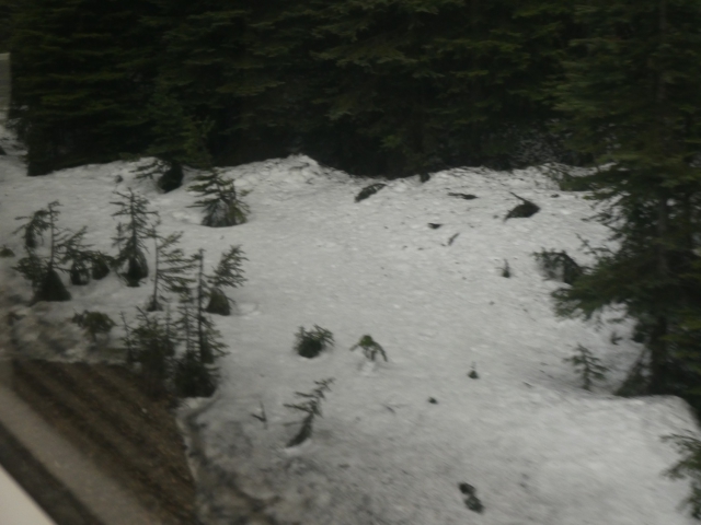 ../photos/canada19/Jane/P1000895.jpg?t=1775440118