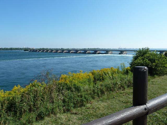 canusa/Jane/P1100239.jpg
