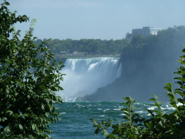 canusa/Jane/P1100243.jpg
