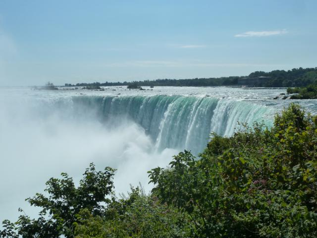 canusa/Jane/P1100253.jpg