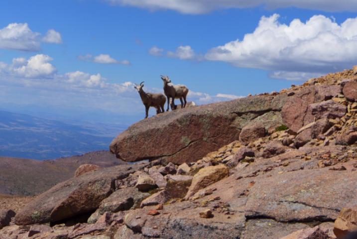 canusa/Slava/PikesPeak3.jpg