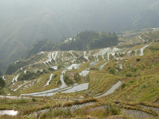 china16/Jane/P1020353.jpg