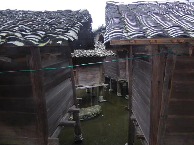 china16/Jane/P1020586.jpg