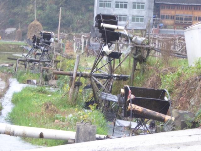 china16/Jane/P1020593.jpg