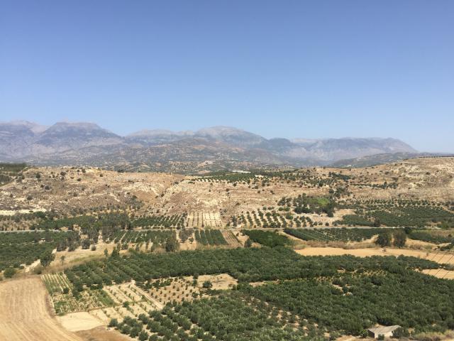 ../photos/crete/Amanda/IMG_3862.jpg?t=1775440178