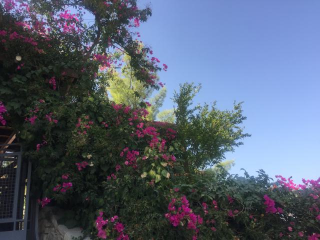 ../photos/crete/Amanda/IMG_3890.jpg?t=1775440178